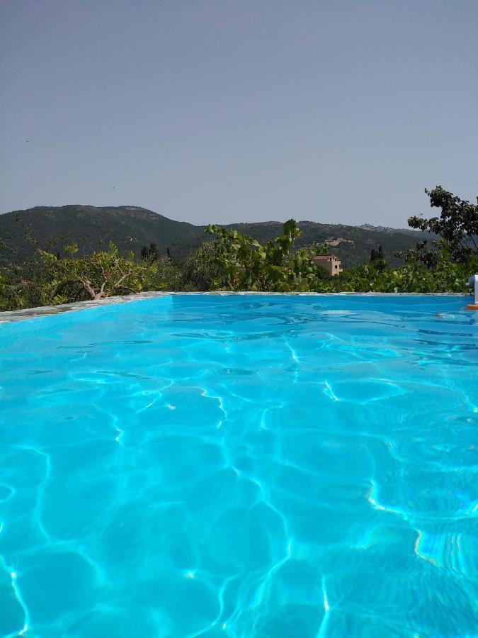 Apartment With Private Pool For Rent In Tzanata Kefalonia Dhimisianáta Extérieur photo